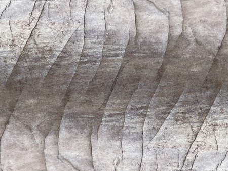 Old wood texture with natural pattern for background and design art work.の写真素材