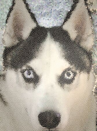 Husky dog with blue eyes close up face mosaicの写真素材
