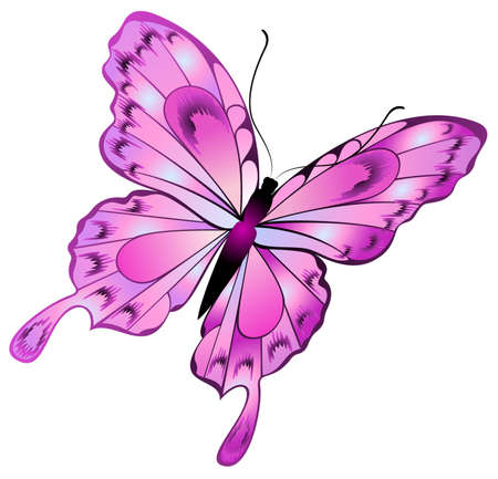 Beautiful butterflyの写真素材