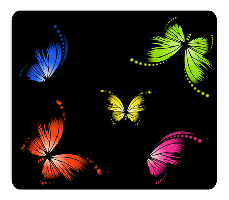 Beautiful butterflyの写真素材