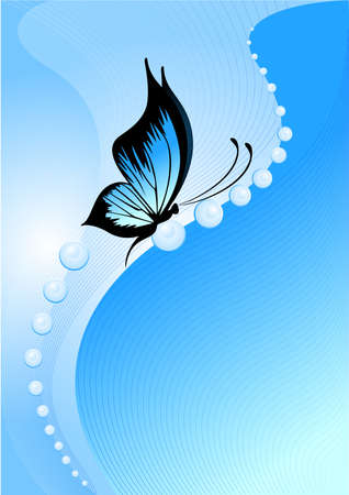 Beautiful butterflyの写真素材