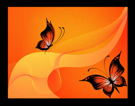Beautiful  butterfliesの写真素材
