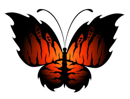 Beautiful butterflyの写真素材