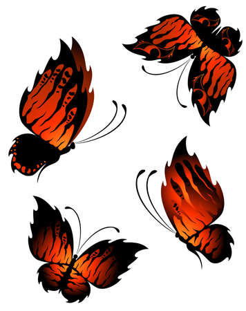 Beautiful butterflyの写真素材