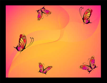 Beautiful butterflyの写真素材