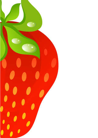 Beautiful juicy strawberry の写真素材