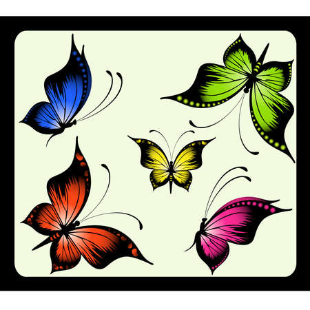 Beautiful butterflyのイラスト素材