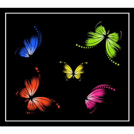 Beautiful butterflyのイラスト素材