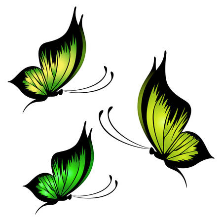 Beautiful butterflyのイラスト素材