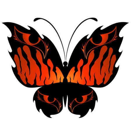 Beautiful butterflyのイラスト素材