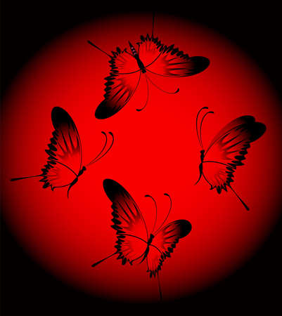 Beautiful butterflyの写真素材