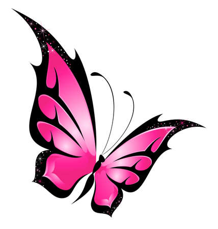 Beautiful tropical butterflyの写真素材
