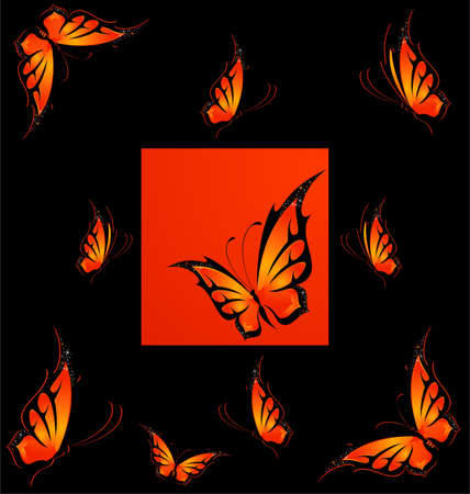 Beautiful tropical butterflyの写真素材