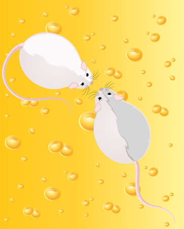 Two mice against from yellow cheese full of holesの写真素材