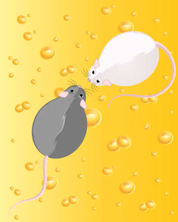 Two mice against from yellow cheese full of holesの写真素材