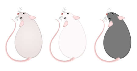 Lovely fluffy mice on a white backgroundの写真素材