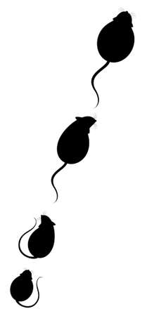 Lovely fluffy mice on a white backgroundの写真素材