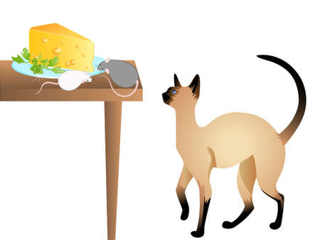 The cat watches the mouse which eats cheese on a tableの写真素材