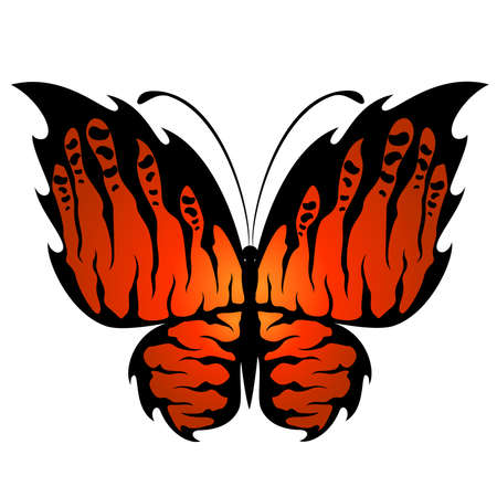 Beautiful tropical butterflyのイラスト素材