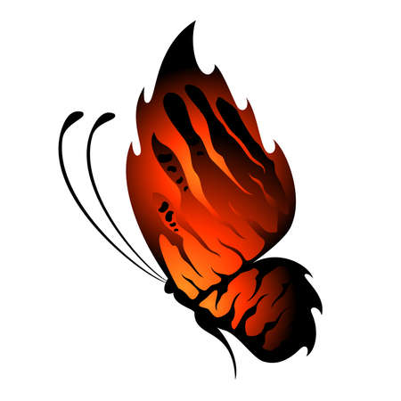 Beautiful tropical butterflyのイラスト素材