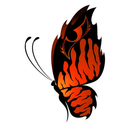 Beautiful tropical butterflyのイラスト素材