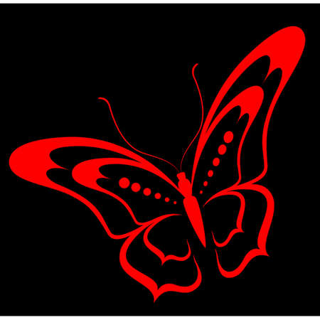 Beautiful tropical butterflyのイラスト素材