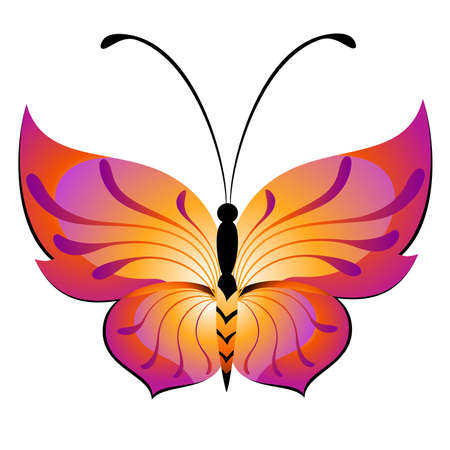 Beautiful tropical butterflyのイラスト素材