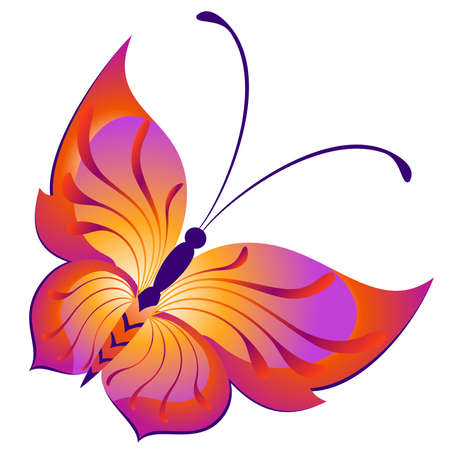 Beautiful tropical butterflyのイラスト素材