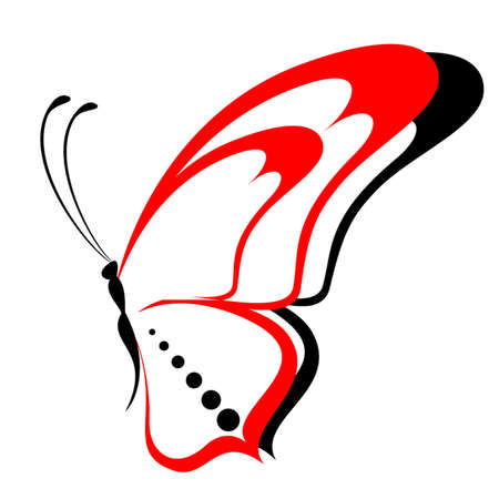 Beautiful tropical butterflyのイラスト素材