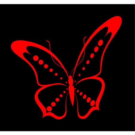 Beautiful tropical butterflyのイラスト素材