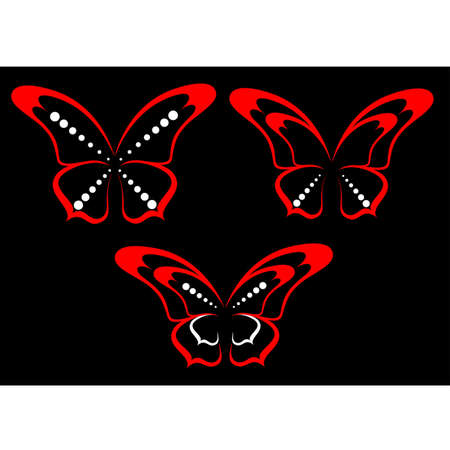 Beautiful tropical butterflyのイラスト素材