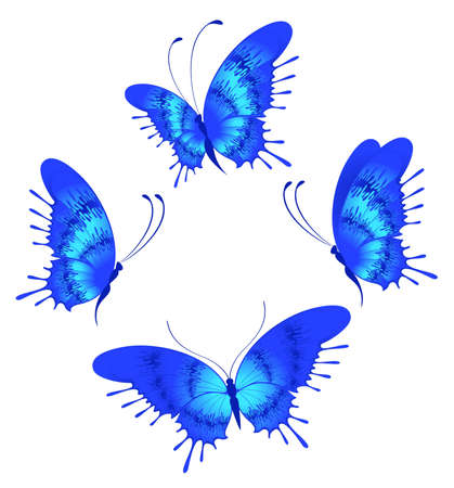 Beautiful tropical butterflyの写真素材