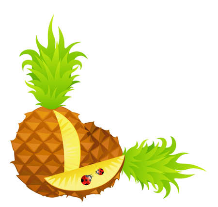 Beautiful bright cards with the image of tropical pineappleの写真素材