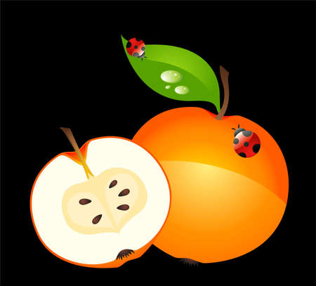  Beautiful bright card with the image of appleの写真素材