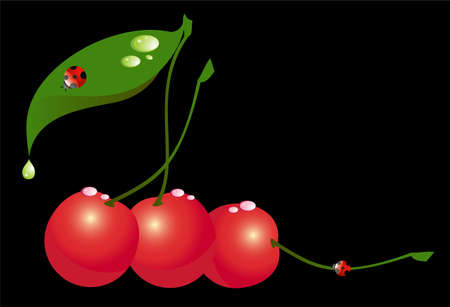 Beautiful bright cards with the image of cherryの写真素材