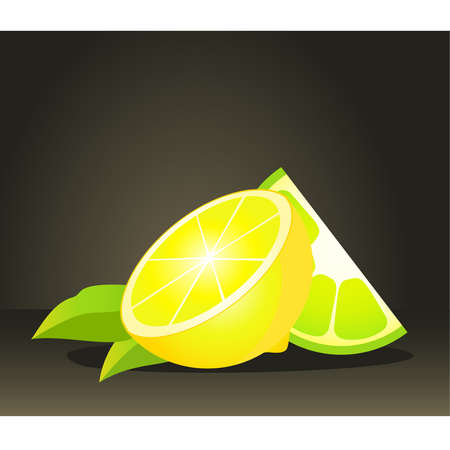 Beautiful juicy lemon against on backgroundのイラスト素材