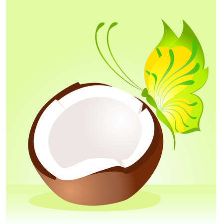 Beautiful juicy coco on a light background with butterflyのイラスト素材