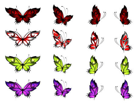 Beautiful butterflyの写真素材