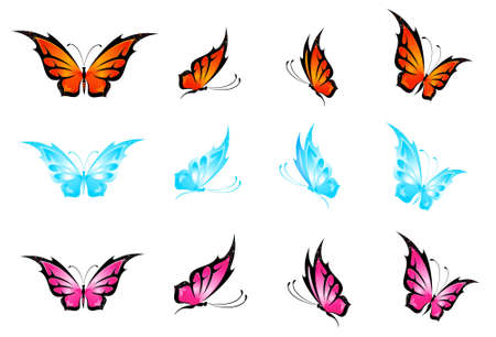 Beautiful butterflyの写真素材