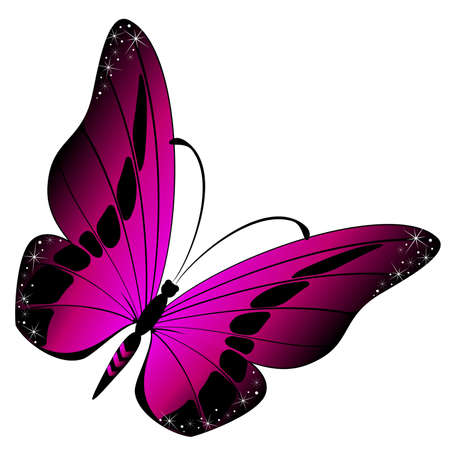 beautiful tropical butterflyのイラスト素材