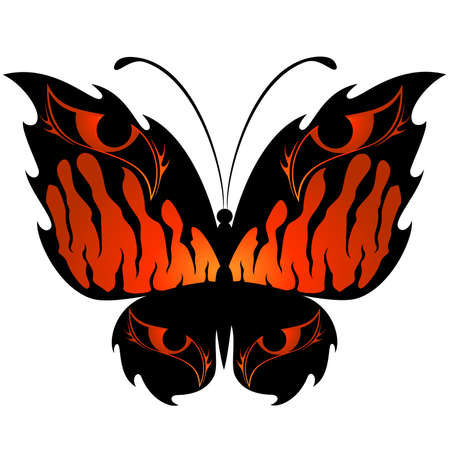 beautiful tropical butterflyのイラスト素材