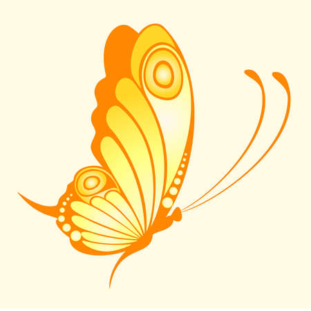 beautiful tropical butterflyのイラスト素材