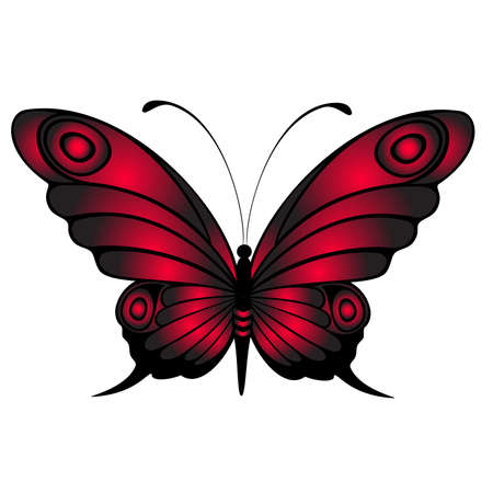 beautiful tropical butterflyのイラスト素材
