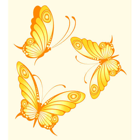beautiful tropical butterflyのイラスト素材