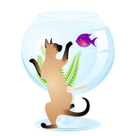 The cat plays with a small fish in an aquarium a white backgroundのイラスト素材