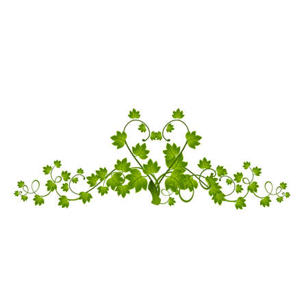 Beautiful decorative framework from leaves for designのイラスト素材