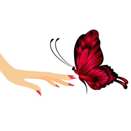 The beautiful butterfly sits down on a female handのイラスト素材