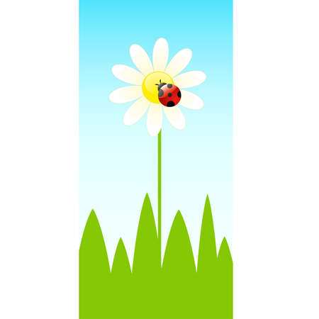  background with funny ladybirds and camomilesのイラスト素材