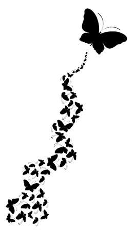 Grunge background with tropical butterfliesの写真素材