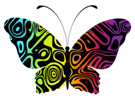 Abstract Tropical Butterfly.の写真素材